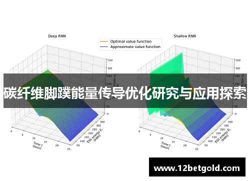 碳纤维脚蹼能量传导优化研究与应用探索