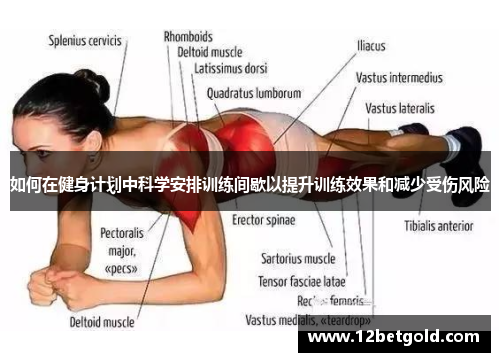 如何在健身计划中科学安排训练间歇以提升训练效果和减少受伤风险