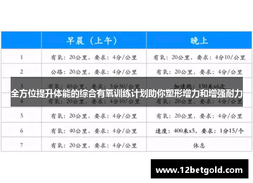 全方位提升体能的综合有氧训练计划助你塑形增力和增强耐力