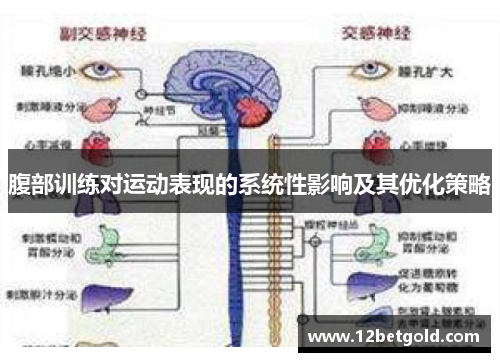 腹部训练对运动表现的系统性影响及其优化策略
